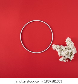 fresh white lilac with circle frame on bold red background with copy space. minimal natural decorative art. minimal flat lay.