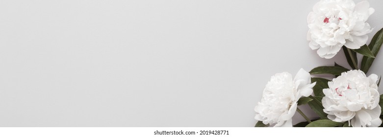 Fresh White Peony Flowers On Light Gray Table Background. Closeup. Condolence Card. Wide Banner. Empty Place For Emotional, Sentimental Text, Quote Or Sayings. 