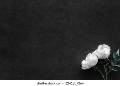 Fresh, white roses on black, dark background. Condolence card. Empty place for emotional, sentimental text, quote or sayings. Top view. Flat lay.