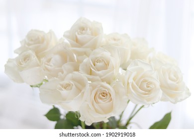 白バラ の画像 写真素材 ベクター画像 Shutterstock