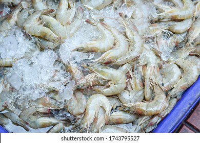 Fresh White Shrimp With Cold Ice Placed For Sale In Seafood Market, Background Top View Fresh White Shrimp, Closeup Fresh Sea Food, Fresh Shrimp In The Street Market In Thailand