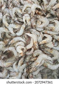 Fresh White Shrimp With Cold Ice Placed For Sale In Seafood Market, Background Top View Fresh White Shrimp, Closeup Fresh Sea Food, Fresh Shrimp In The Street Market In Thailand