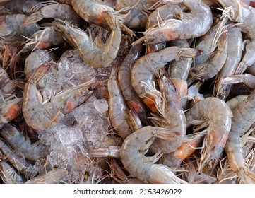 Fresh White Shrimp In Ice Placed For Sale In Seafood Market, Background Top View Fresh Sea Food, Fish Pattern