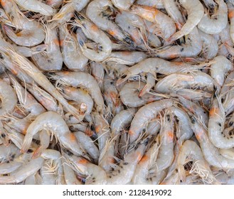 Fresh White Shrimp Placed For Sale In Seafood Market, Background Top View Fresh Sea Food, Fish Pattern