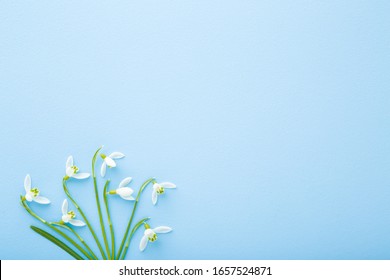 Fresh white snowdrops with green leaf on light pastel blue table background. First messengers of spring. Closeup. Empty place for inspirational, emotional, sentimental text, quote or sayings. 