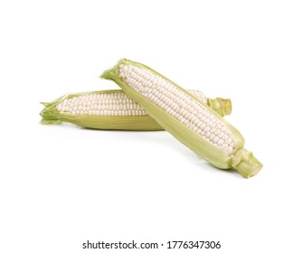Fresh white sweet corns on a white background, Hokkaido pure white corn