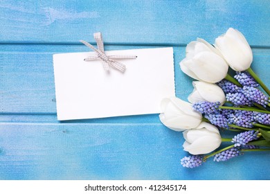 Fresh white tulips  and blue muscaries  flowers  and empty tag on white wooden background. Selective focus. Place for text.