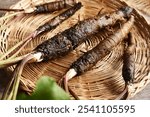 Fresh whole burdock root on a table - ingredient for herbal tincture