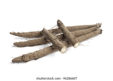Fresh whole and half Burdock roots isolated on white background