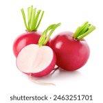 Fresh whole and half of small garden radishes isolated on white background