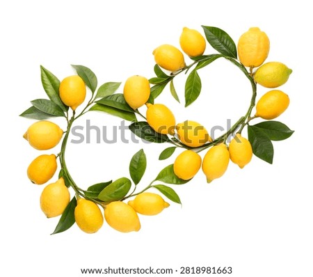 Fresh Whole Lemons Connected By Leafy Citrus Branc Isolated On White Background