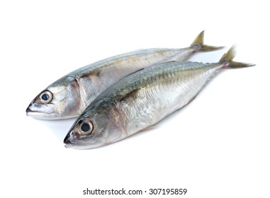 Edible Fish Images, Stock Photos & Vectors | Shutterstock