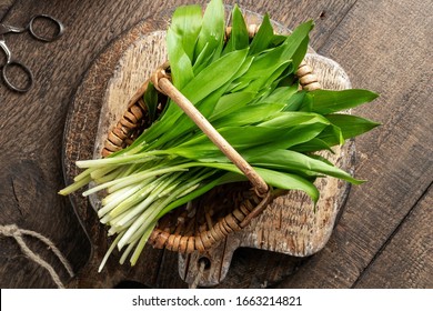 Fresh Wild Garlic Leaves In A Basket, Top View