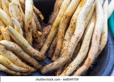 Fresh Wild Yam, Karen Yam In Local Market Of Thailand