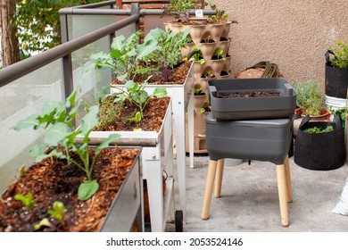 Fresh Worm Castings (compost) Is Ready To Be Added To Elevated Garden Beds On A Patio. Worm Composters Are A Perfect Solution In An Apartment, On A Balcony Or Porch, Or Inside To Process Food Waste