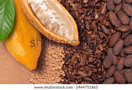 Fresh yellow cocoa fruit with beans on chocolate ingredients (cocoa nibs, cocoa mass and cocoa powder) texture background, Chocolate ingredients concept. Top view, flat lay.