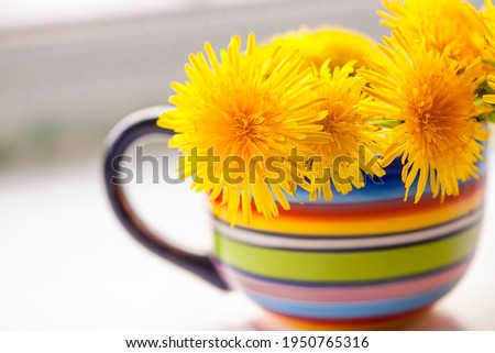 Similar – Image, Stock Photo Cup with yellow herbal tea