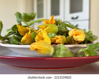 Fresh Yellow Flowers Of A Small Decorative Pumpkin. Fried Pumpkin Flower As Summer Appetizers.