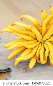 A fresh yellow Buddha’s Hand (Citrus medica var. sarcodactylis) or Fingered citron