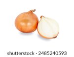 Fresh Yellow Onion bulbs and half isolated on white background.