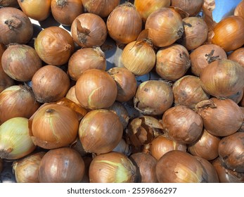 fresh Yellow Onions at the supermarket kiosk. Fresh Yellow Onions on display in the grocery store. Yellow Onions on the shelves in the usual market. - Powered by Shutterstock