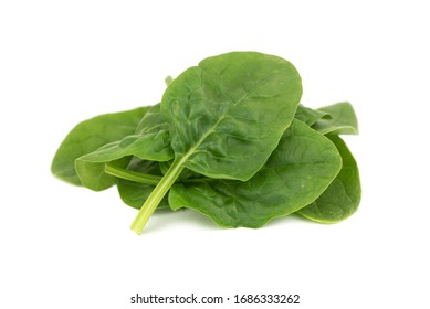 Fresh Young Baby Spinach Leaves