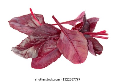 Fresh Young Chard Red Leaves Isolated On White Background