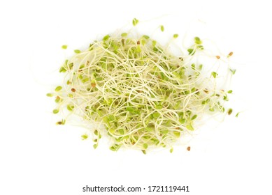 Fresh Young Natural Clover Sprouts