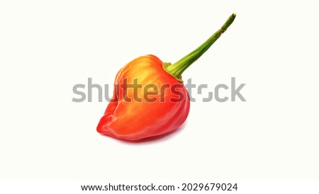 fresh young sweet datil papper on a white background. close up. 