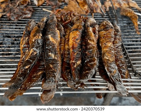 The freshest, most delicious grilled catfish. From street food in Thailand.