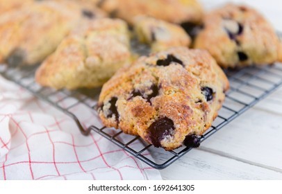 Freshly Baked Blueberry Buttermilk Scones