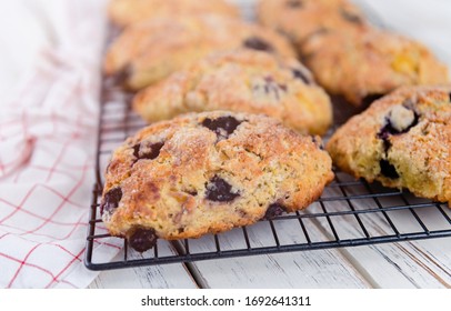 Freshly Baked Blueberry Buttermilk Scones