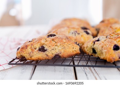 Freshly Baked Blueberry Buttermilk Scones