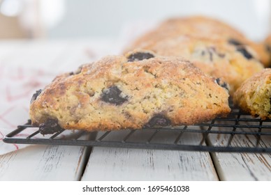 Freshly Baked Blueberry Buttermilk Scones