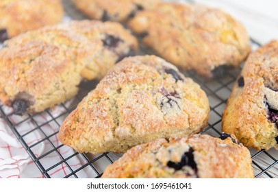 Freshly Baked Blueberry Buttermilk Scones