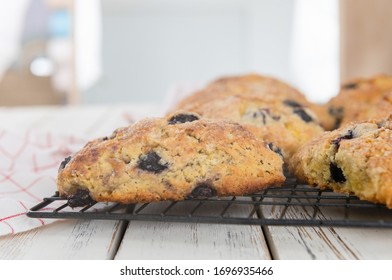 Freshly Baked Blueberry Buttermilk Scones