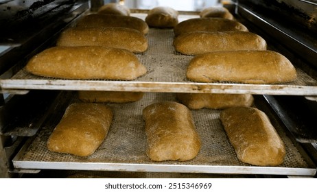 Freshly baked bread cooling on metal trays in bakery oven. - Powered by Shutterstock