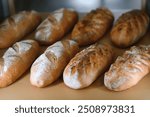 Freshly baked bread on bakery shelves. Bread diversity in bright light. Breads with a golden crust on wooden shelves. Loaves of bread assortment.