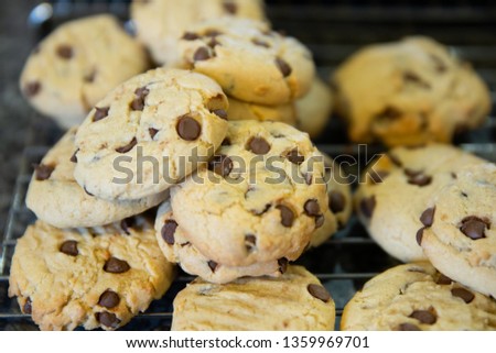 Freshly baked chocolate chip cookies. Close up cookie. Baking and cooking background. Junk food. Unhealthy diet and obesity. Nutrition concept.