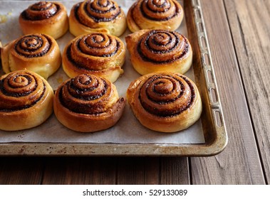 Freshly Baked Cinnamon Rolls Buns With Cocoa And Spices On A Metal A Baking Sheet. Christmas Pastries. Close-up. Top View.