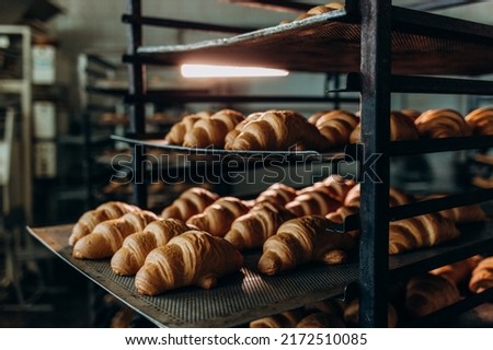 freshly baked croissants in the baking oven
