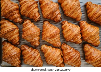 Freshly baked golden French croissants on baking sheet. Fresh classic pastries. Top view  - Powered by Shutterstock