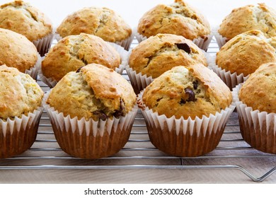 Freshly Baked Homemade Banana Chocolate Chip Muffins; Out Of The Oven Muffins In Muffin Cups