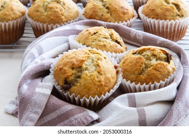 Freshly Baked Homemade Banana Chocolate Chip Muffins; Out Of The Oven Muffins In Muffin Cups