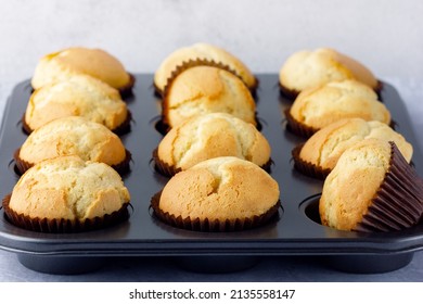 Freshly Baked, Homemade Cupcake In Muffin Tin With Paper Liner.