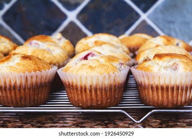 Freshly baked homemade rhubarb muffins; Rhubarb muffins cooling on a wire rack