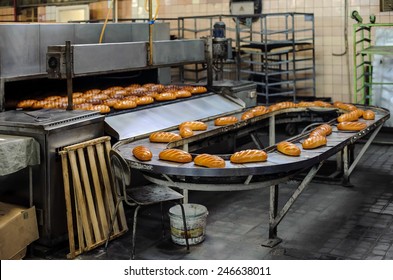 Freshly Baked Hot Bread Loafs On The Production Line