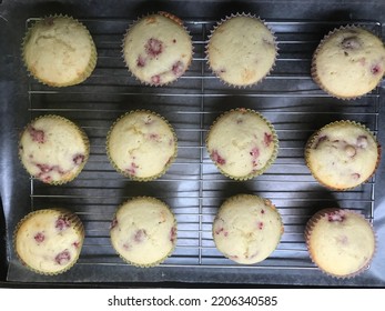 Freshly Baked Lemon Raspberry Muffins