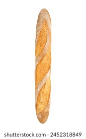 Freshly baked loaf vertically oriented, isolated. French bread baguette.