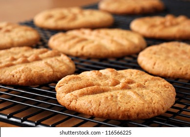 Freshly baked peanut butter cookies on cooling rack.  Macro with extremely shallow dof.  Selective focus limited to center of closest cookie.